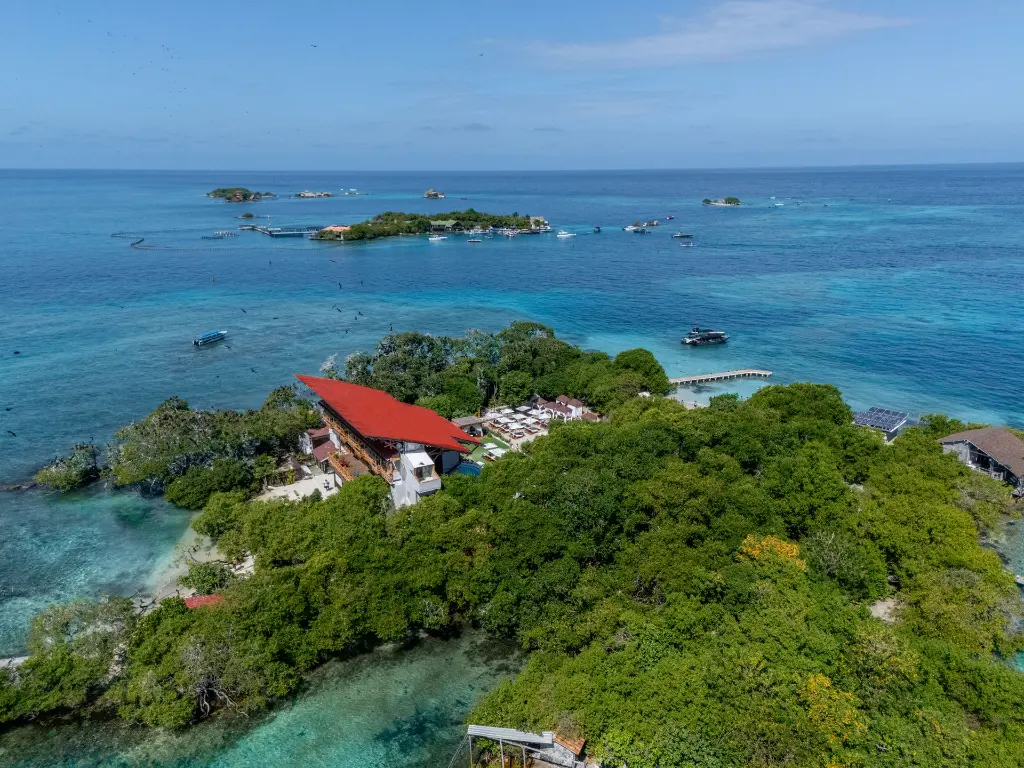 DJI_20241216235613_0117_D.webp