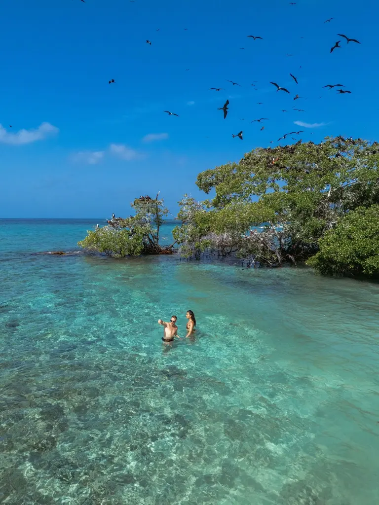 Copia de DJI_20250128230944_0017_D.webp