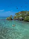 Copia de DJI_20250128230944_0017_D.webp