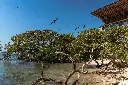 _DSC0053.webp