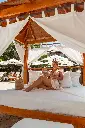 DSC03544.webp