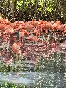 IMG-20250416-WA0114.webp