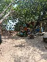 IMG_20250309_104116.webp