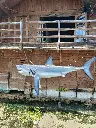 IMG_20250309_111646(1).webp