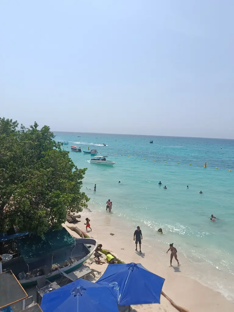 IMG_20250309_133427(1).webp