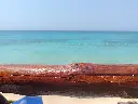 IMG_20250309_125541.webp